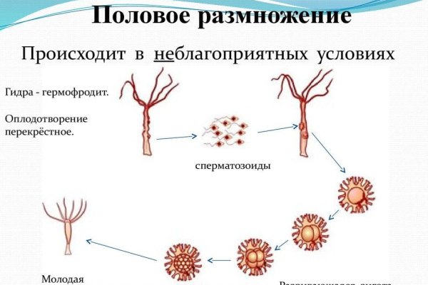 Кракен что продается