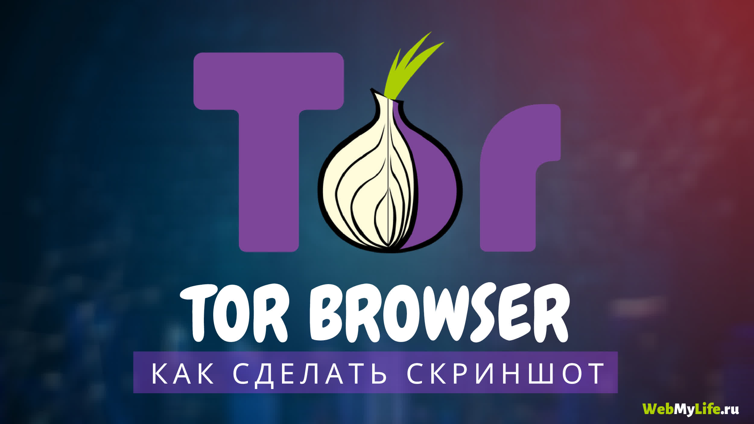 Tor browser kraken
