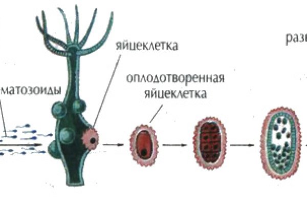 Кракен маркет что это