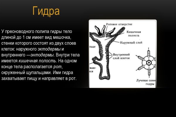 Как зайти на кракен без тора