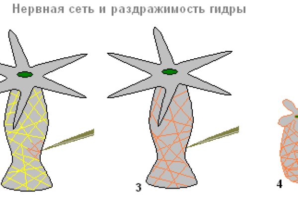 Какая ссылка на кракен