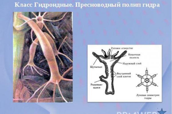 Krmp.cc официальный сайт