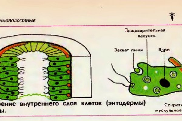 Kraken пользователь не найден при входе