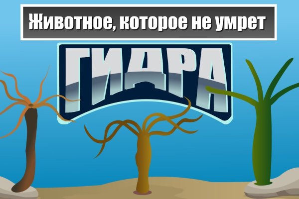 Что продают на кракене